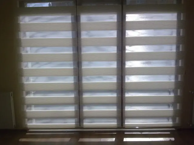 Zebra Perde